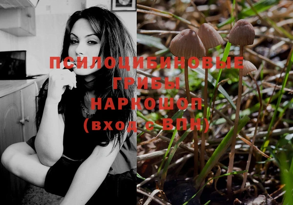 прущий лед Алзамай