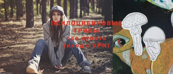 МДПВ Алексин