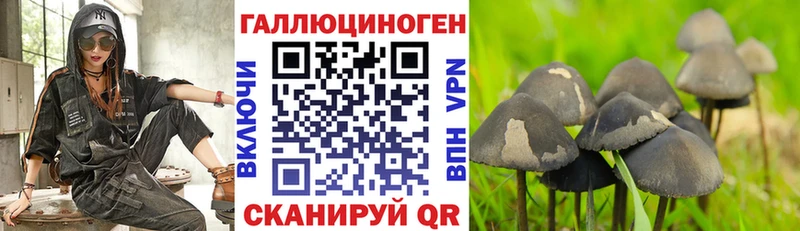 Галлюциногенные грибы прущие грибы  блэк спрут ONION  Ивангород  где найти наркотики 