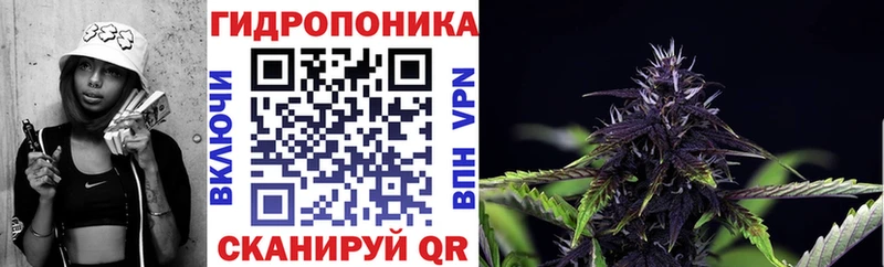 Бошки марихуана семена как найти Ивангород